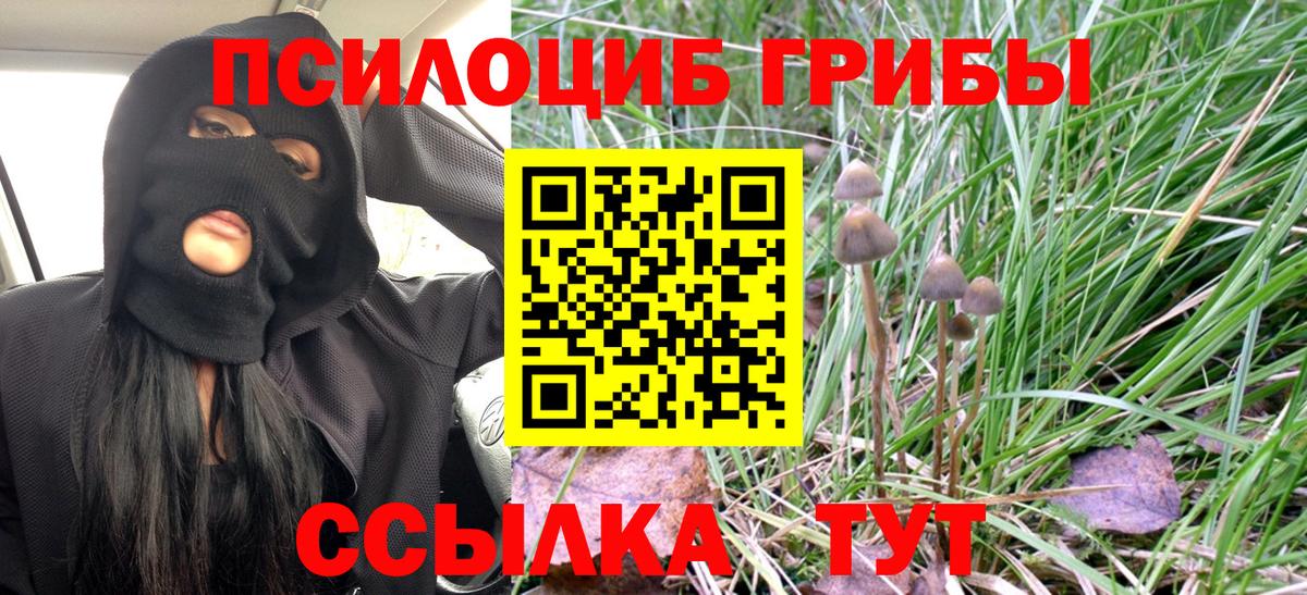 Псилоцибиновые грибы мицелий  Псилоцибиновые грибы мицелий  Белорецк  Вход с VPN 